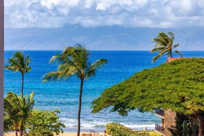 A coastal view with palm trees, a beach, and a building with a red roof.