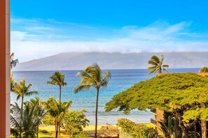 A coastal view with palm trees, a clear sky, and a mountain in the distance.