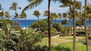A tropical garden with palm trees, a pathway, and a view of the ocean.