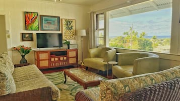 Smart TV, video games, computer monitors