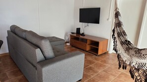 Televisión 