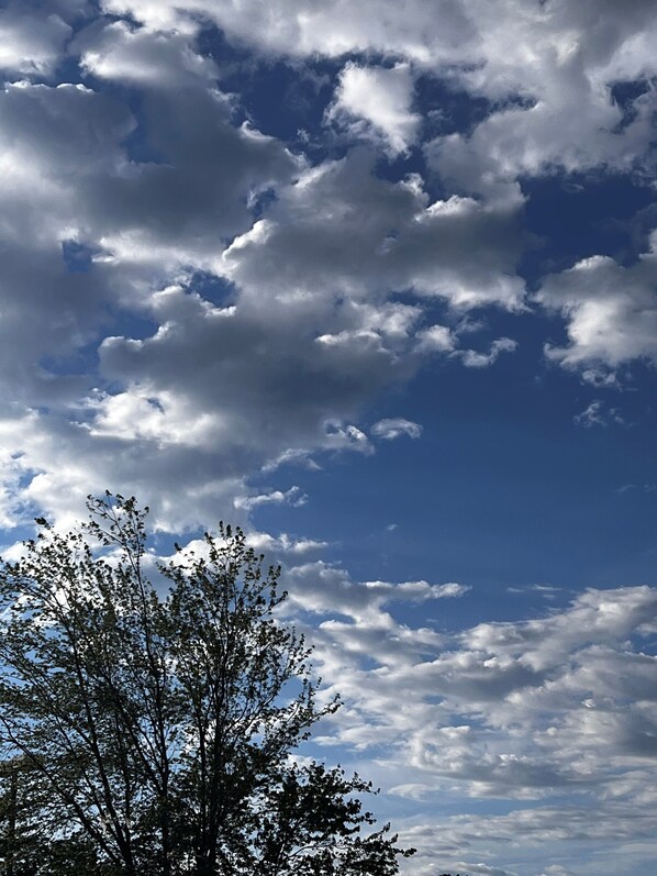 A clear sky with scattered clouds and a tree in the foreground.