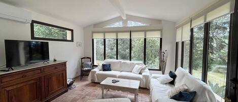 TV, caminetto, libri