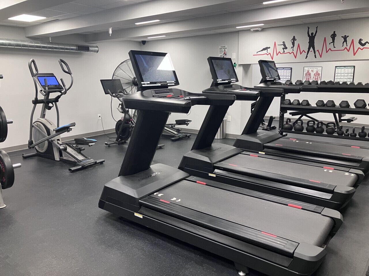A gym with treadmills, elliptical machines, and weightlifting equipment.