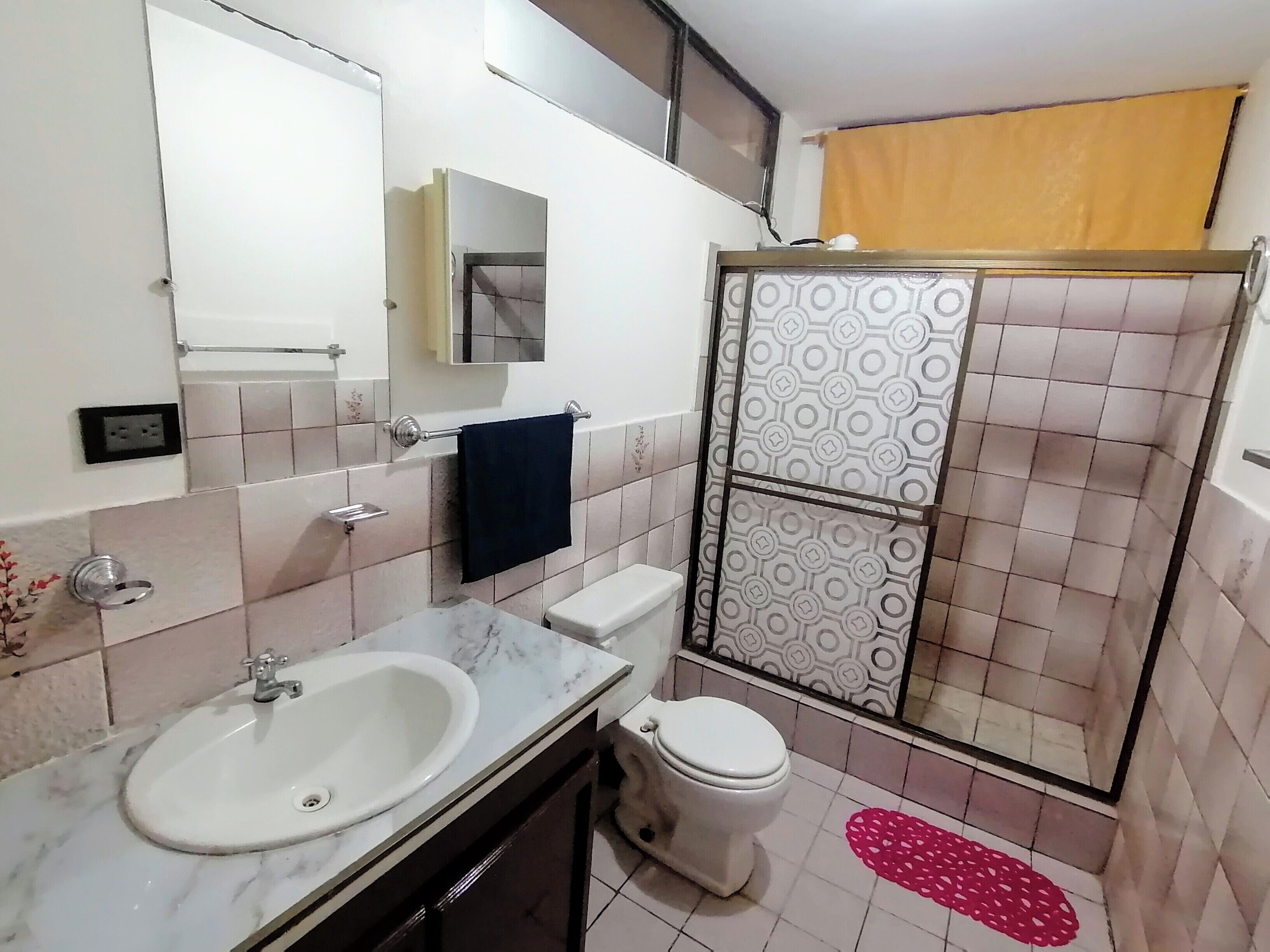 シャワー、タオル、石鹸、トイレットペーパー