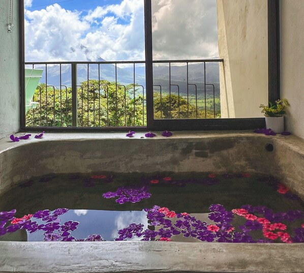 Interior - Eco Suite 1-bedroom villa in awesome La Fortuna with AC (La Fortuna)