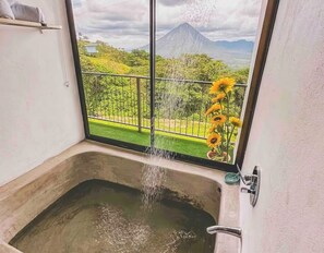 Interior - Eco Suite 1-bedroom villa in awesome La Fortuna with AC (La Fortuna)