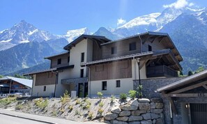 Exterior - The Cosmics (Les Houches)