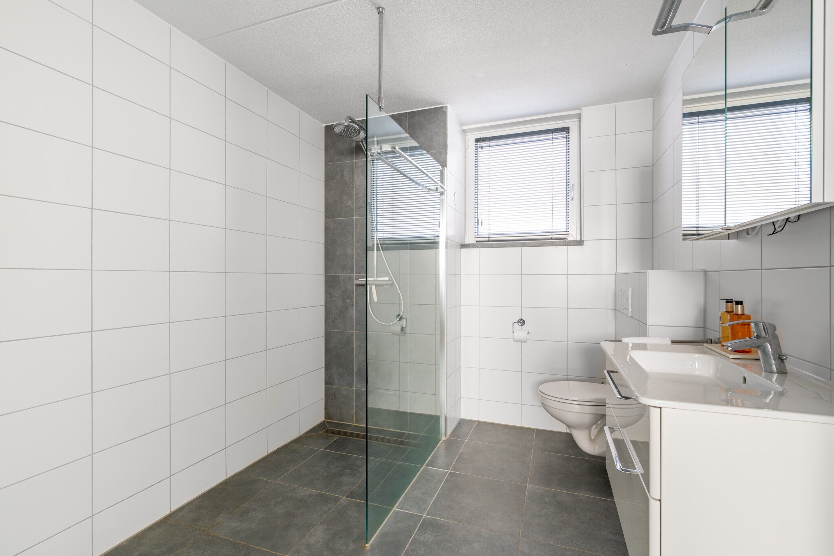 A modern bathroom with a glass shower enclosure, a toilet, and a sink with a mirror above it.