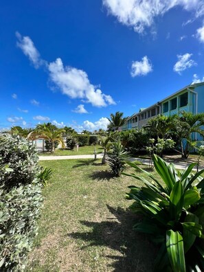 المنطقة المحيطة بالمنشأة