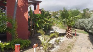 Unclassified image, 4 of 42, button - Studio Palm Court with shared pool behind Orient Beach (Collectivity of Saint Martin)
