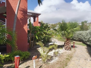 Property grounds - Studio Palm Court with shared pool behind Orient Beach (Collectivity of Saint Martin)