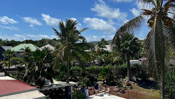 A pool area with lounge chairs and umbrellas, surrounded by palm trees and a clear blue sky. - Studio Palm Court with shared pool behind Orient Beach (Collectivity of Saint Martin)