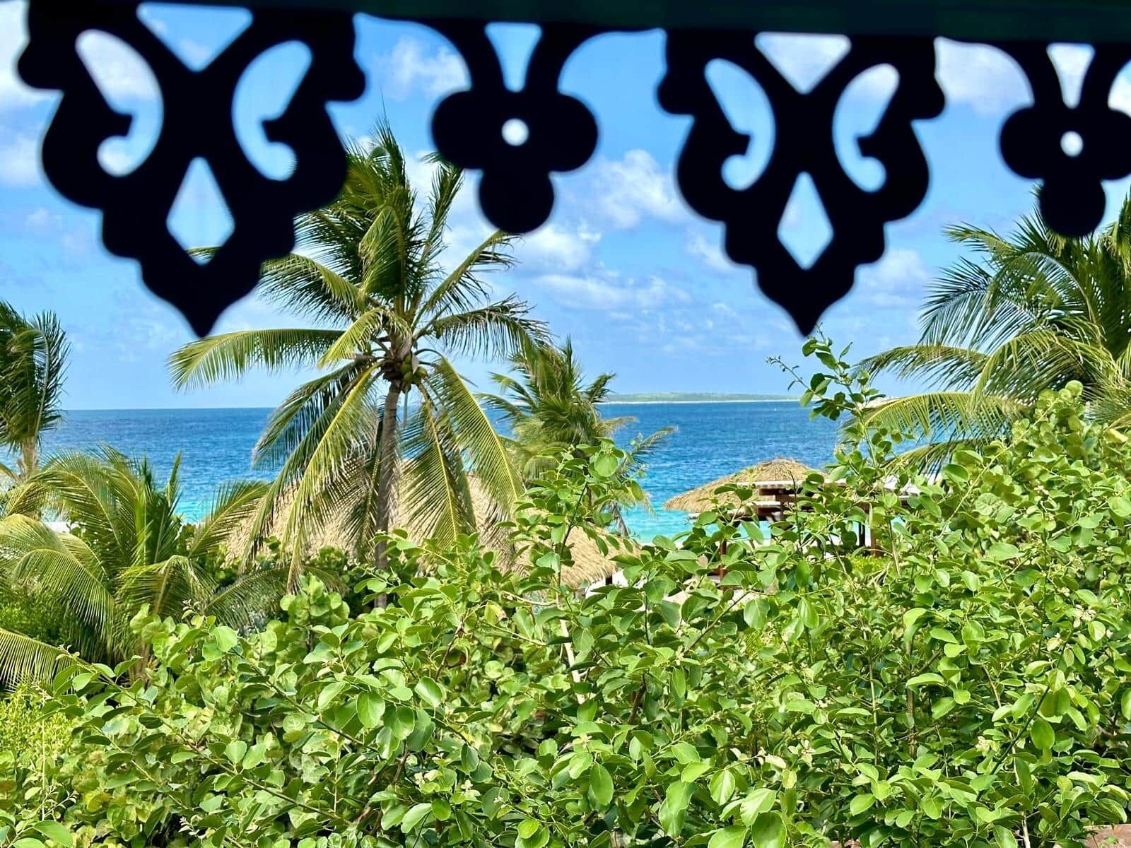 A tropical beach view with palm trees and a clear blue sky.