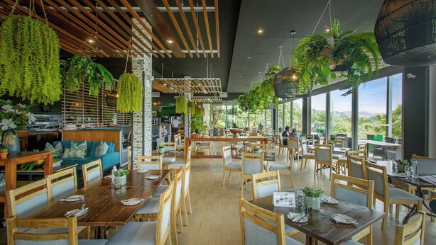 A spacious restaurant with wooden tables and chairs, hanging plants, and large windows offering a view of the outdoors.