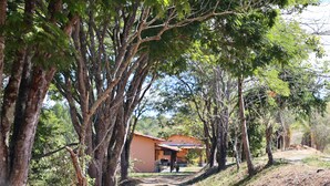 Un bâtiment rustique avec un toit en tuiles, entouré de grands arbres et bordé d’un chemin de terre.