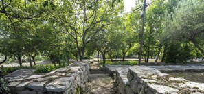 Property grounds - Gite Les Pins - Holiday Cottage in Village Setting (Joyeuse)