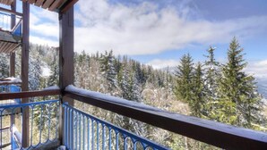 Property grounds - Apartment in Villards With Valley View (Bourg-Saint-Maurice)