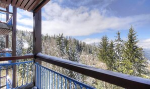 Unclassified image, 3 of 3, button - Apartment in Villards With Valley View (Bourg-Saint-Maurice)
