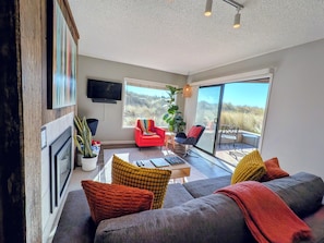 TV connectée, cheminée, livres, médiathèque