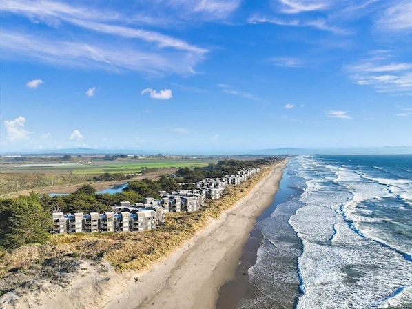 Sun loungers, beach towels - The Tide's Edge : Steps to the Beach (Watsonville)