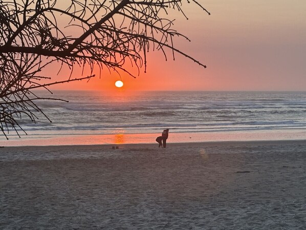 A beach scene with a sunset, a person with a surfboard, and a tree branch in the foreground.