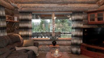 TV, fireplace, stereo