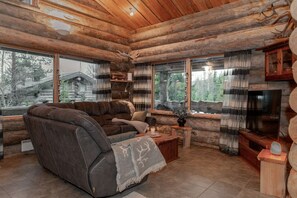 Télévision, cheminée, chaßne hi-fi