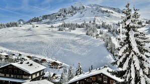 Ein schneebedeckter Berg mit Skipisten, eine Berghütte mit mehreren Zimmern und ein bewaldeter Bereich.