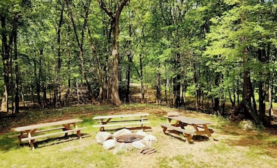 4-bedroom lodge in lovely Mason