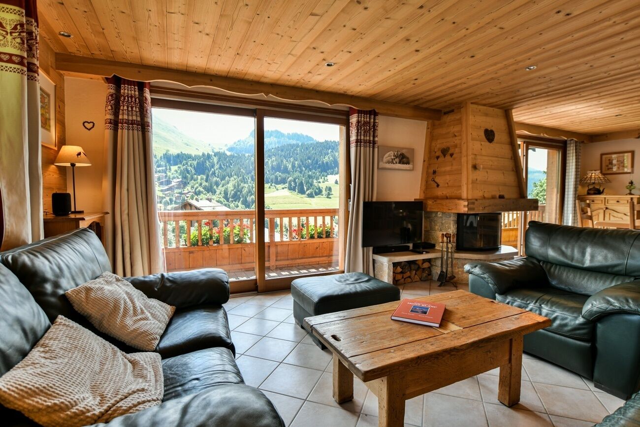 تلفزيون، مدفأة، ستيريو