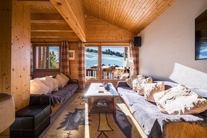 Télévision, cheminée, lecteur de DVD, chaîne hi-fi