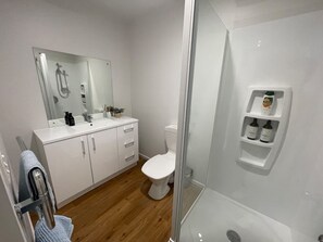 Shower, hair dryer, towels, soap