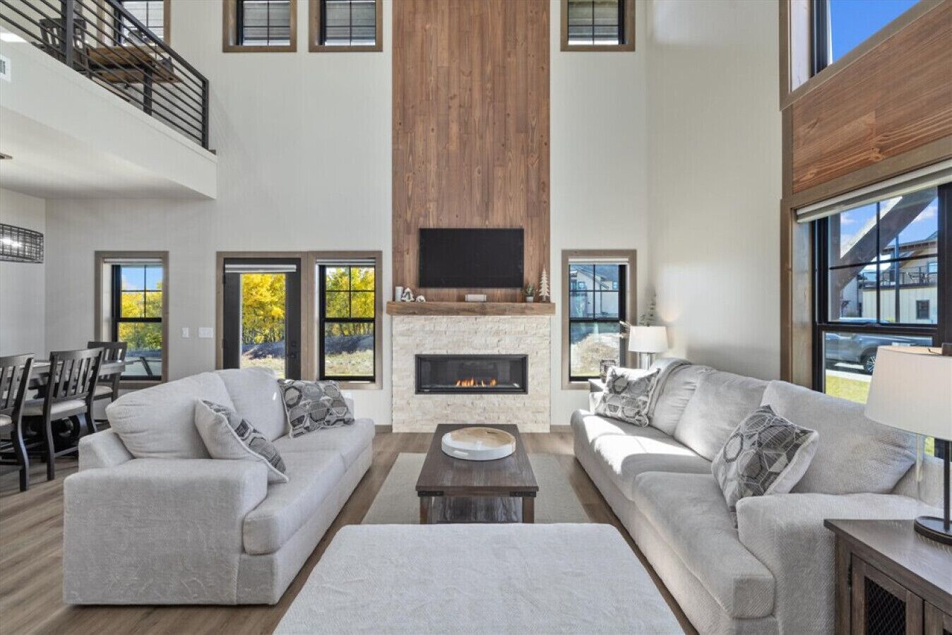 TV, fireplace, video games, books