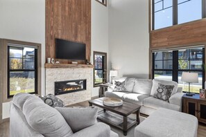 TV, fireplace, video games, books