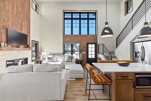 TV, fireplace, video games, books