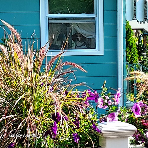 Charming 1-bedroom cottage on Lake Lashaway in East Brookfield.