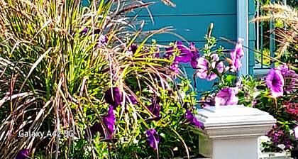 Charming 1-bedroom cottage on Lake Lashaway in East Brookfield.