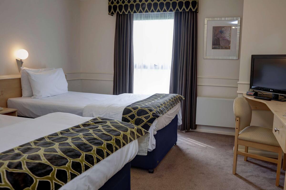 Habitación de hotel con dos camas, un escritorio, una silla, un televisor, una ventana con cortinas y un cuadro en la pared.