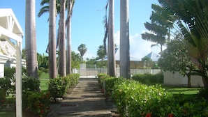 A pathway flanked by palm trees and red flowers, leading to a white building with a triangular roof.