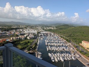 Un puerto deportivo con numerosas embarcaciones amarradas, un paisaje urbano al fondo y vistas de las colinas circundantes.