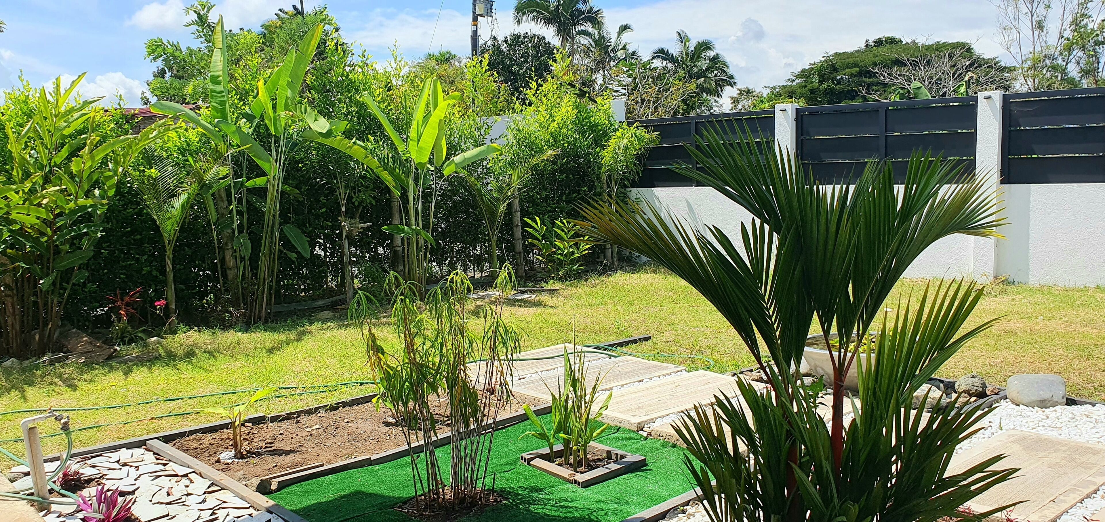 Un jardin avec différentes espèces de plantes, une terrasse en bois et un mur blanc en arrière-plan.