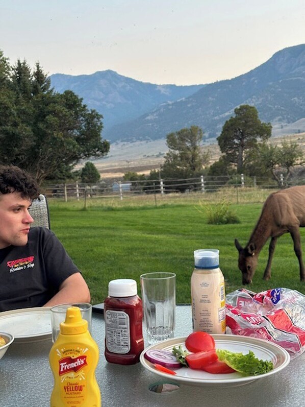 A table with condiments, a plate with vegetables, and a horse grazing in the background. - Soothing, Tranquil, 3-bedroom home. New listing. Also see vrbo#291451 (Gardiner)