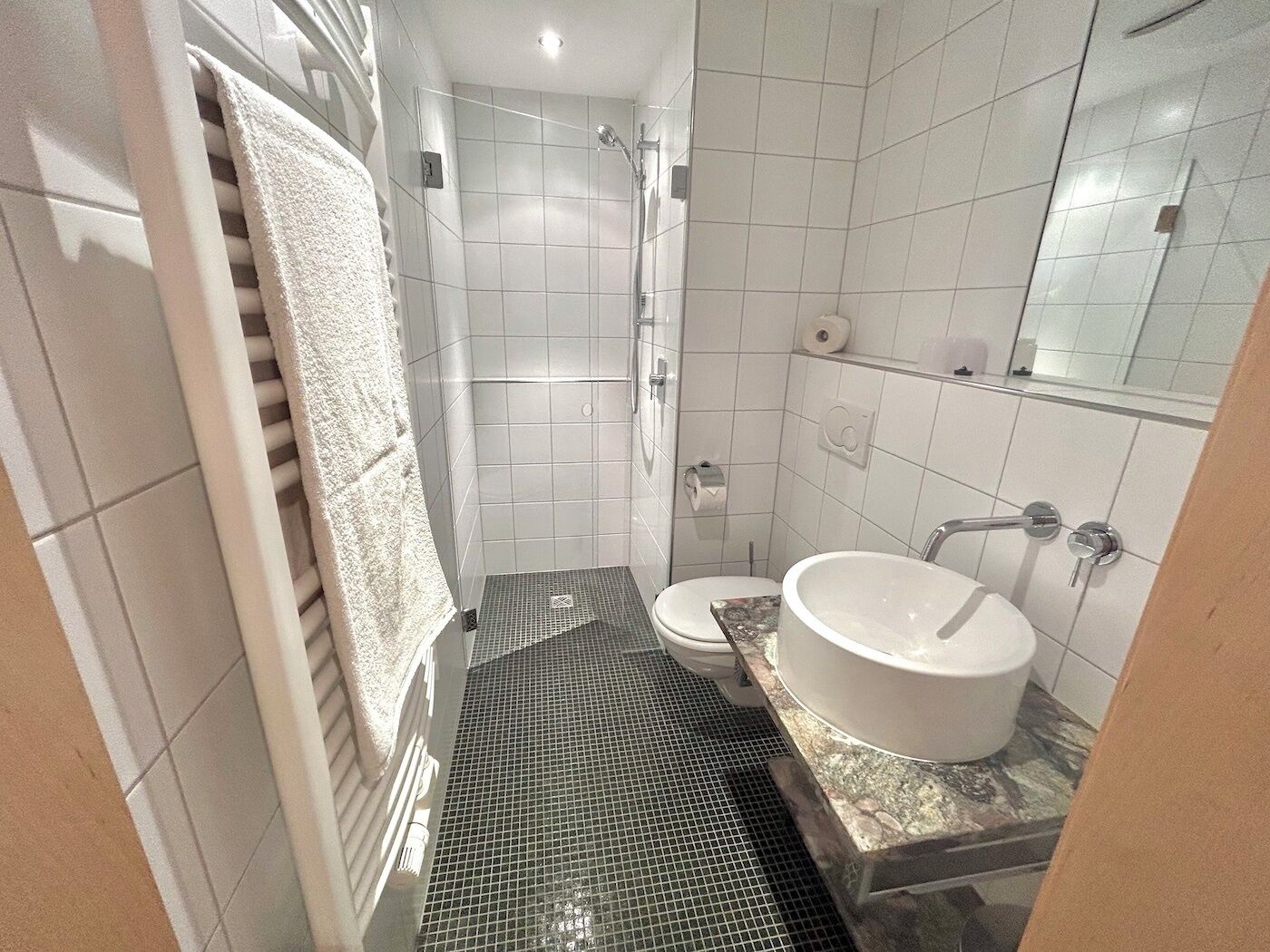 Shower, hair dryer, towels, toilet paper