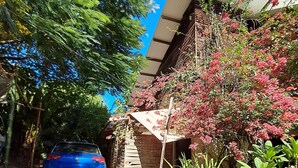 A blue car parked in a driveway with a wooden fence and a building with a corrugated metal roof.