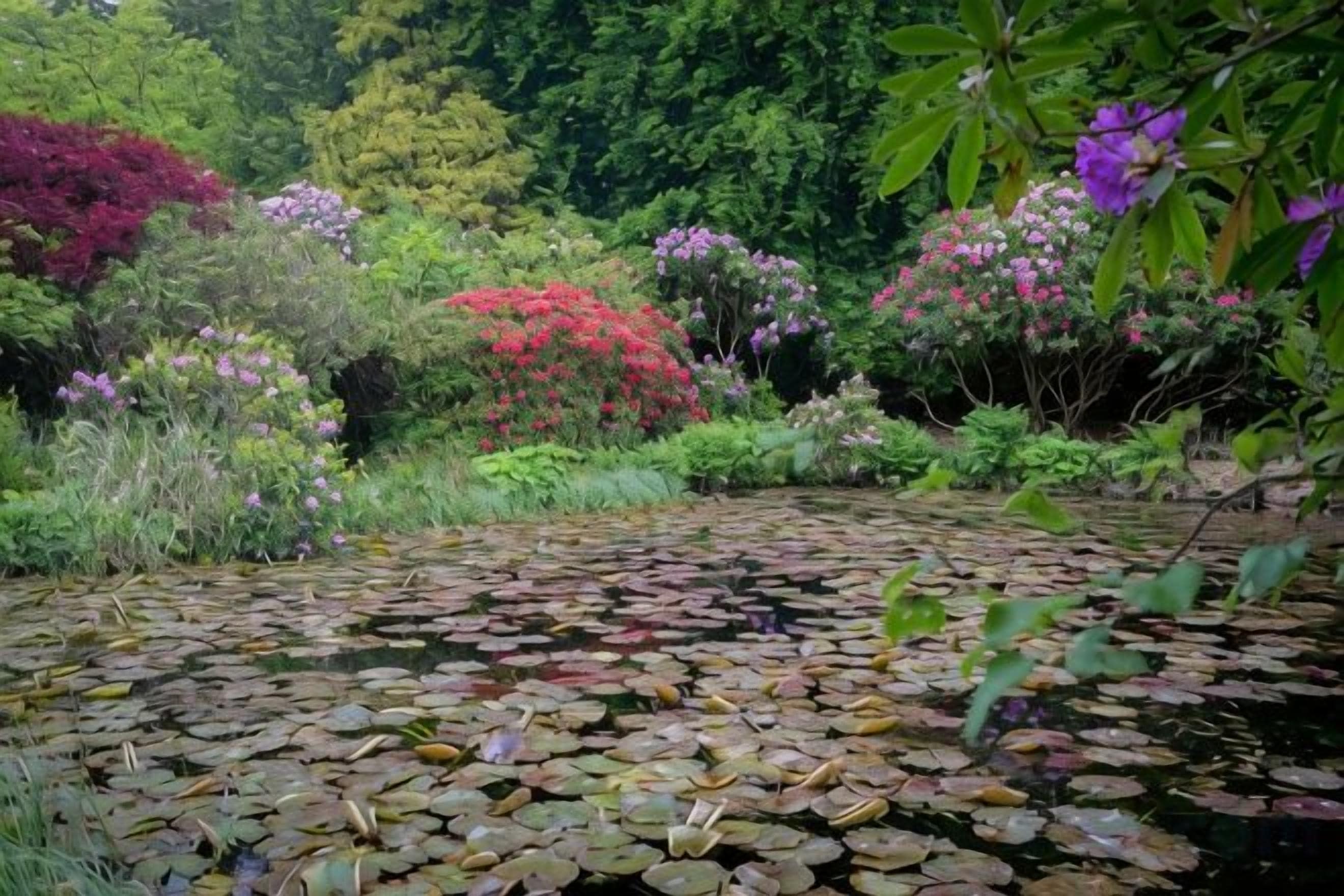 A pond with lily pads surrounded by diverse vegetation and trees.