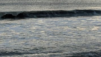 Accommodatie ligt op het strand, ligstoelen