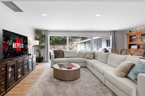 TV, fireplace, books