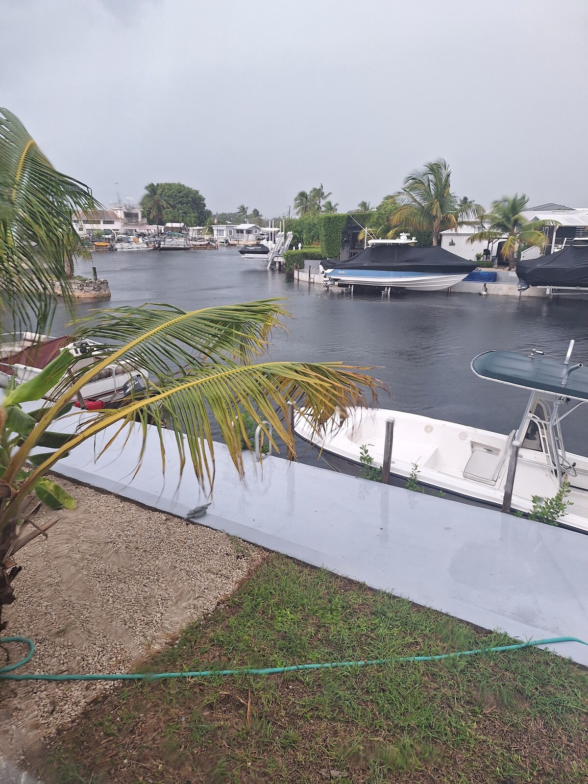 Værtens profilbillede