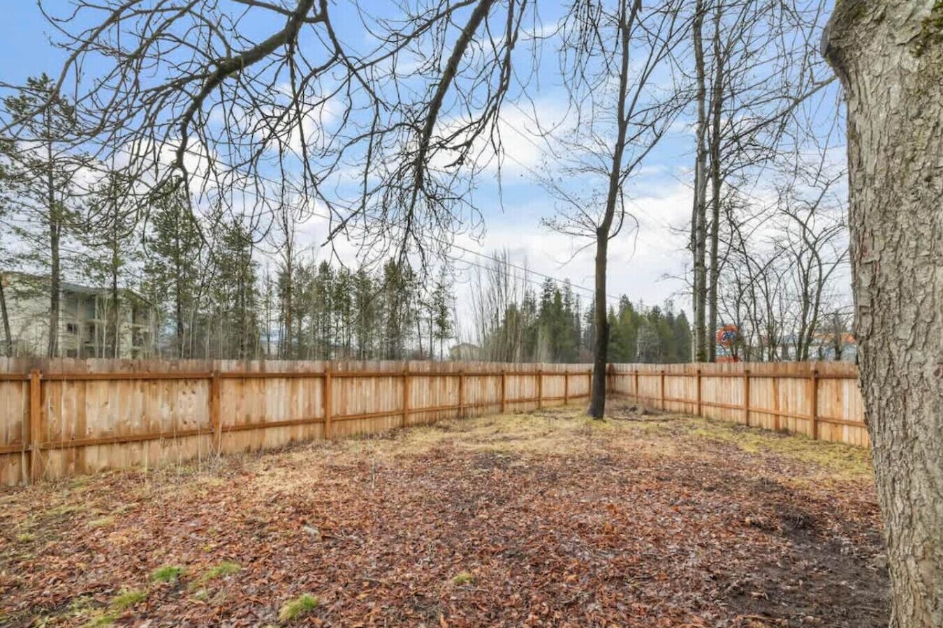 Àrea exterior de l'allotjament